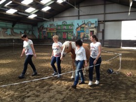 teamwork in de paardenbak